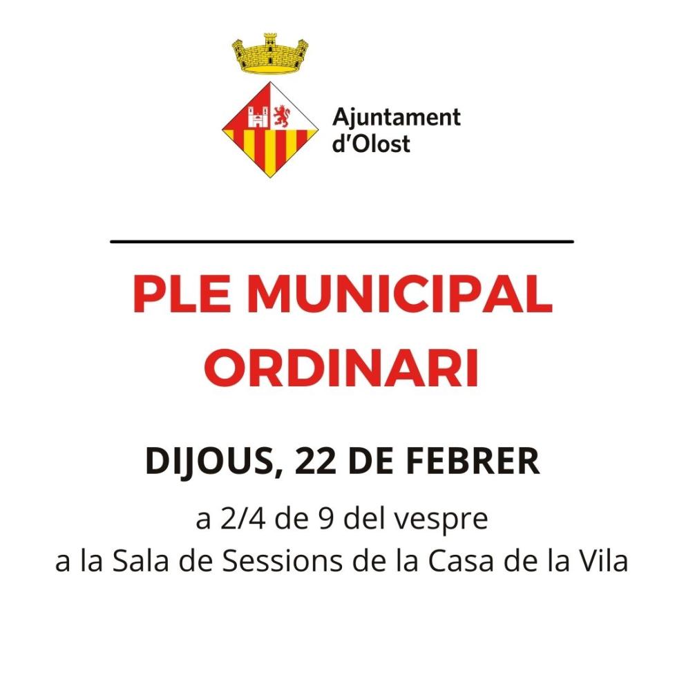 Ple municipal ordinari